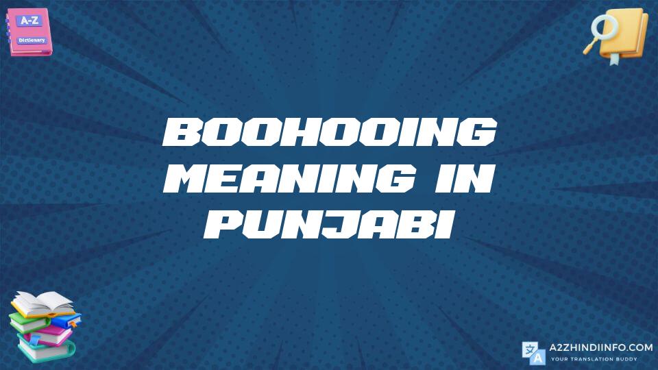 Boohooing Meaning In Punjabi