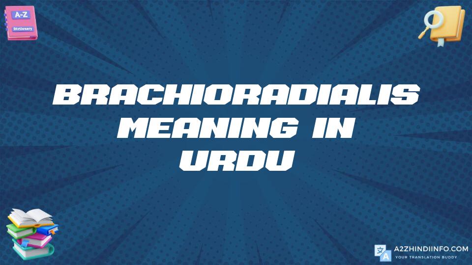 Brachioradialis Meaning In Urdu