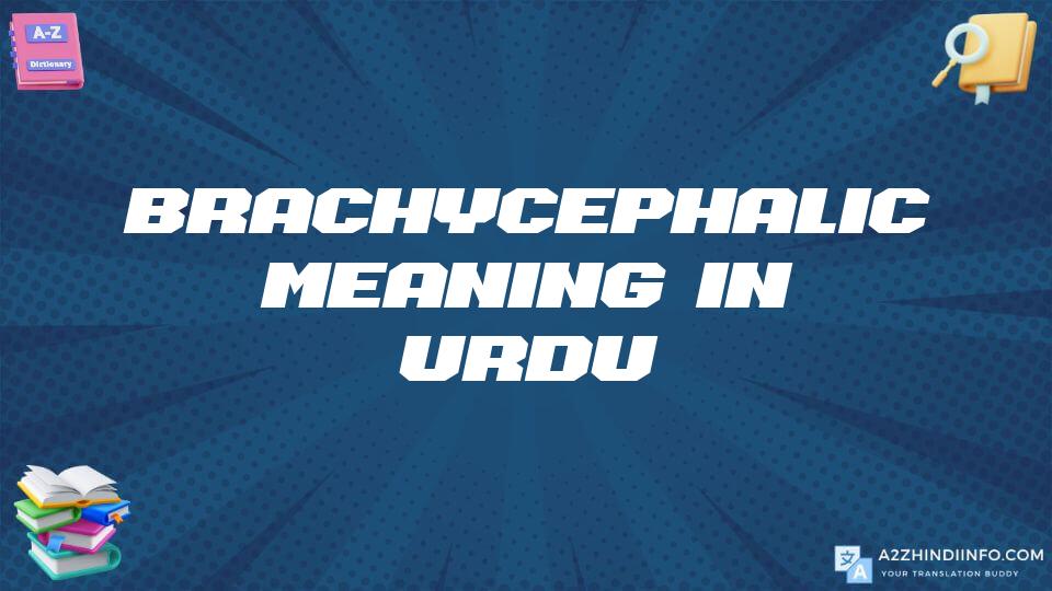 Brachycephalic Meaning In Urdu