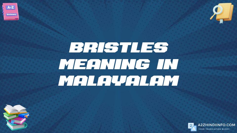 Bristles Meaning In Malayalam