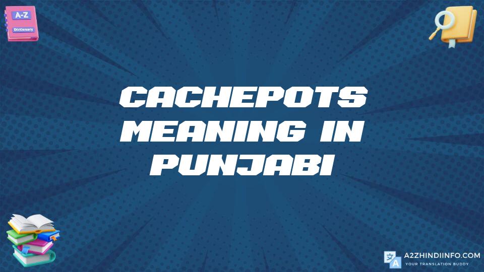 Cachepots Meaning In Punjabi