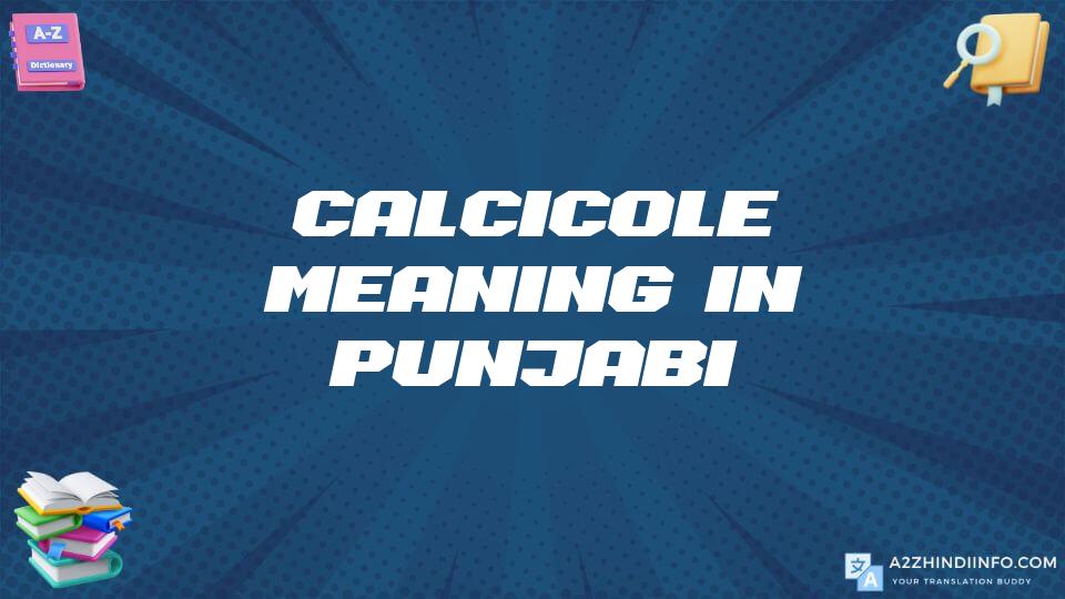 Calcicole Meaning In Punjabi