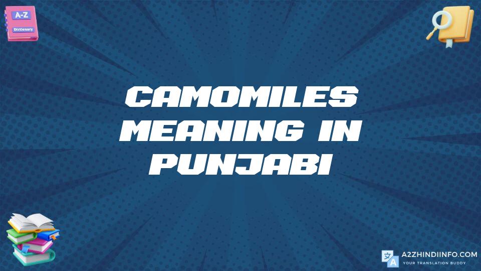 Camomiles Meaning In Punjabi